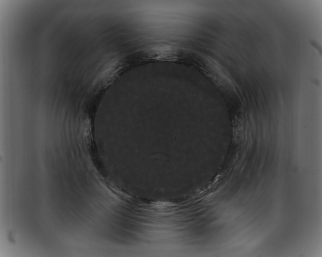 X0000097590748200803071320