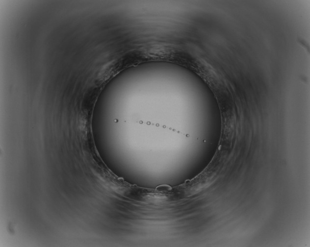 X0000097590749200803071320