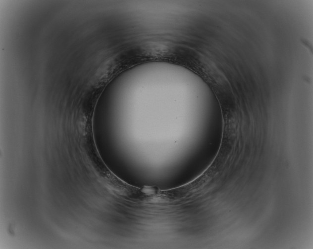 X0000097590750200803071320