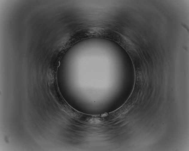 X0000097590751200803071320