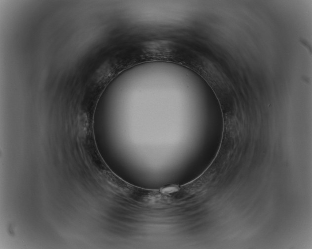 X0000097590752200803071320