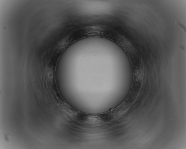 X0000097590753200803071320