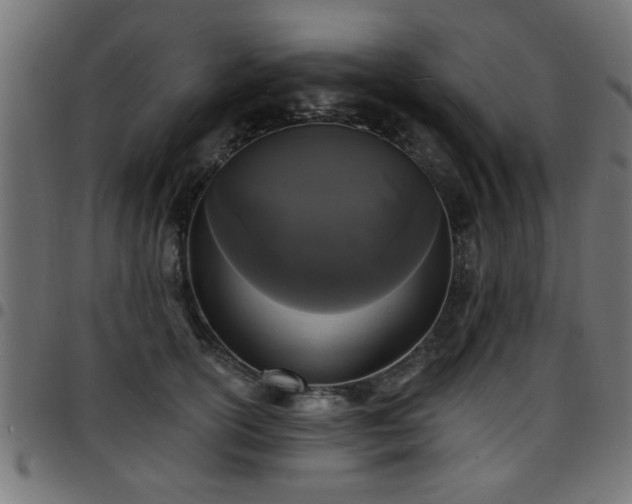 X0000097590754200803071320