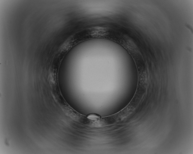 X0000097590755200803071320