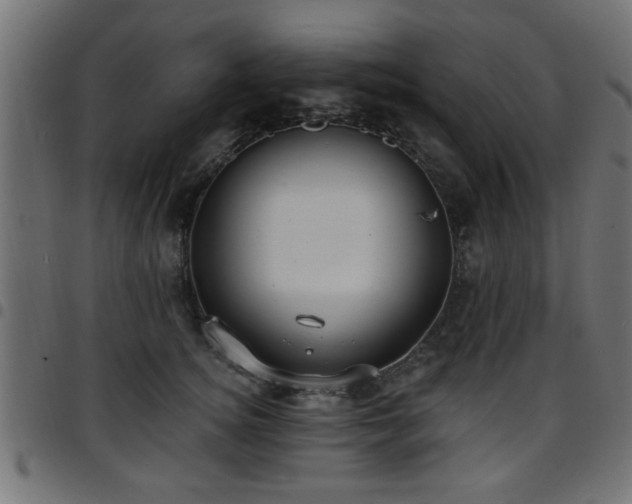 X0000097590756200803071320