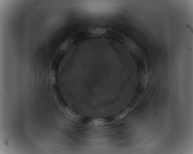 X0000097590758200803071320