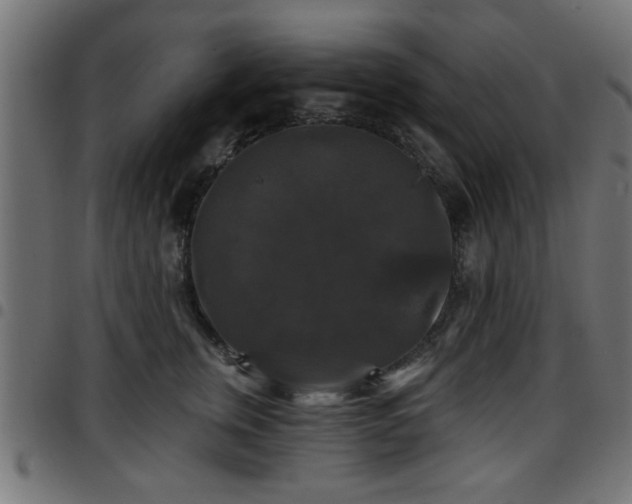 X0000097590759200803071320