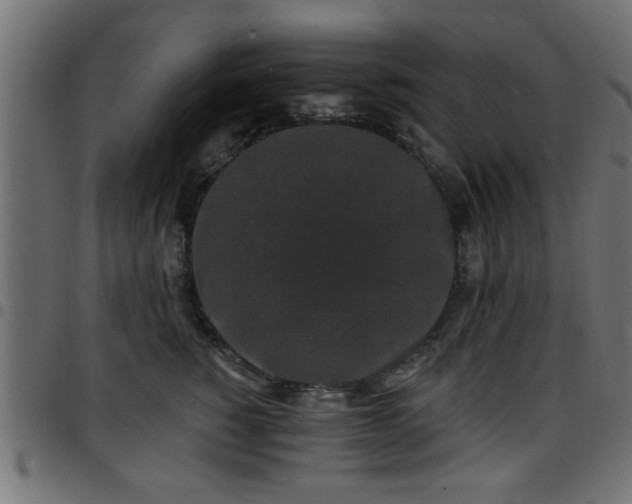 X0000097590760200803071320