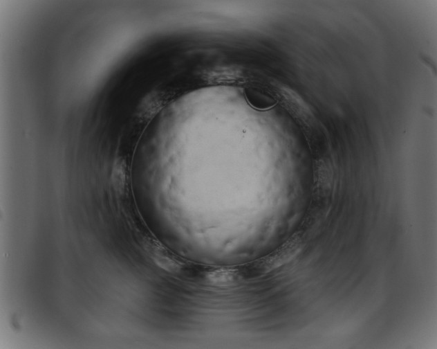 X0000097590761200803071320