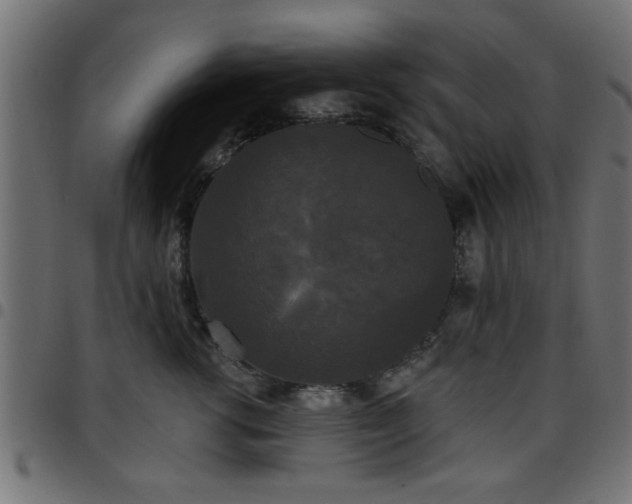 X0000097590762200803071320