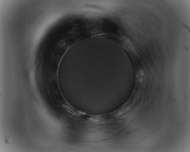 X0000097590763200803071320