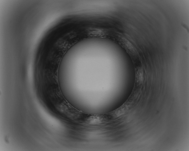 X0000097590764200803071320