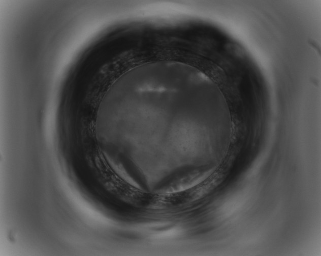 X0000097590765200803071320