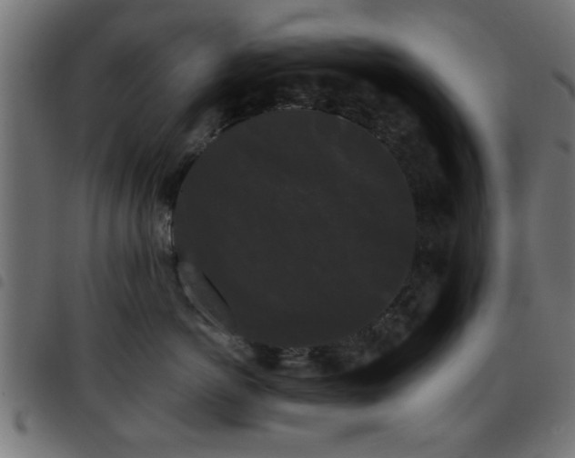 X0000097590766200803071320