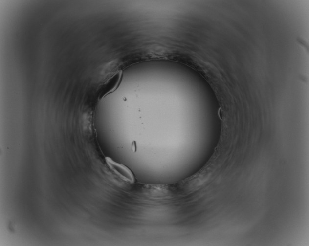 X0000097590768200803071320