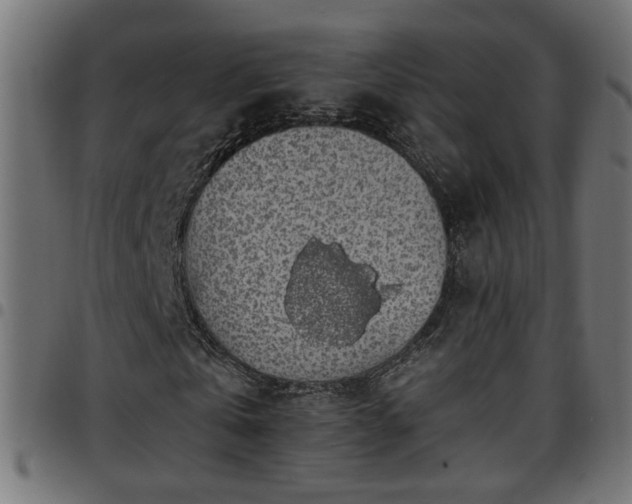 X0000097590769200803071320