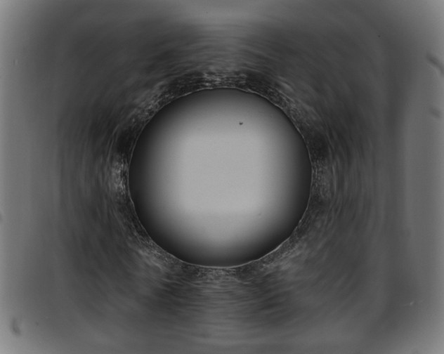 X0000097590770200803071320