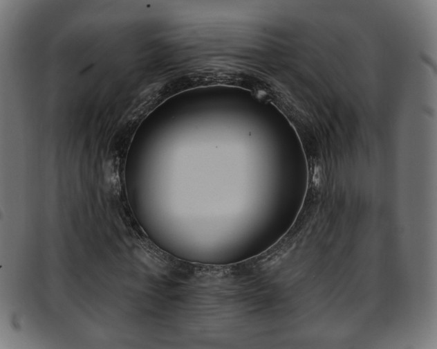 X0000097590771200803071320