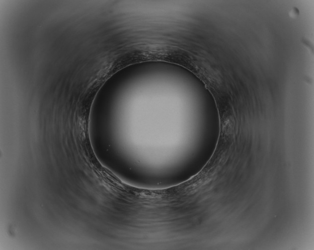 X0000097590772200803071320