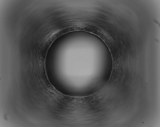 X0000097590773200803071320