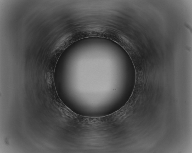 X0000097590774200803071320