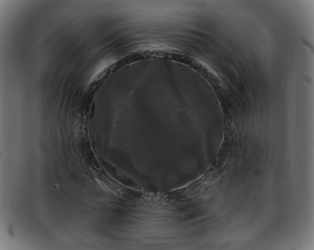 X0000097590775200803071320