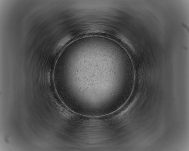 X0000097590777200803071320