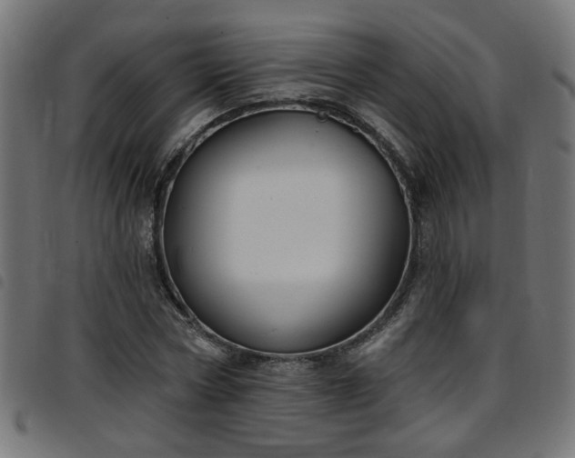 X0000097590778200803071320