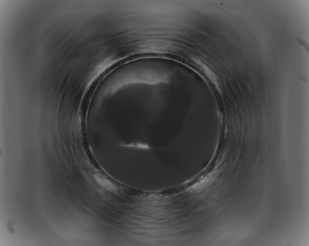 X0000097590779200803071320