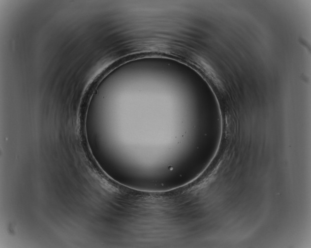 X0000097590780200803071320