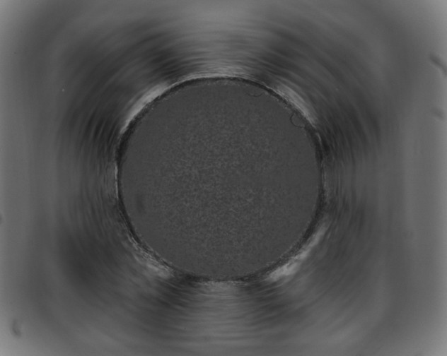 X0000097590781200803071320