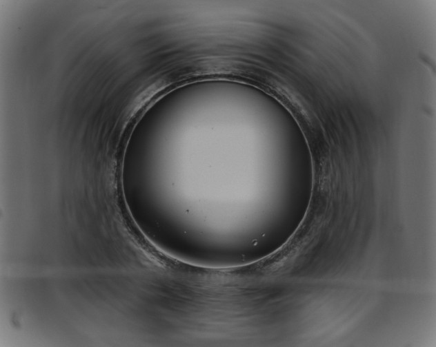 X0000097590786200803071319