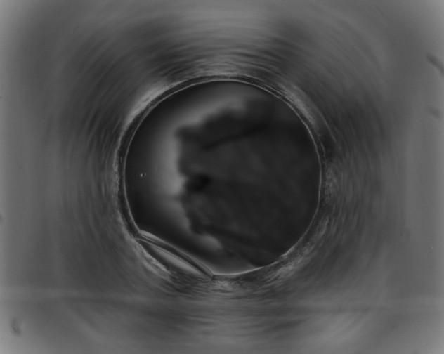 X0000097590787200803071319