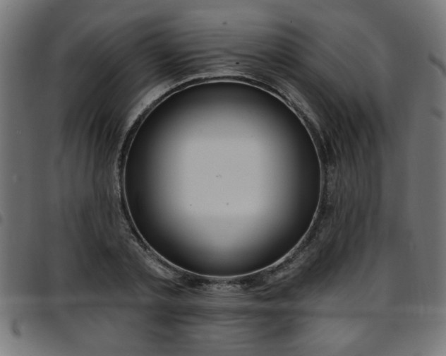 X0000097590789200803071319