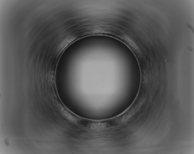 X0000097590793200803071319