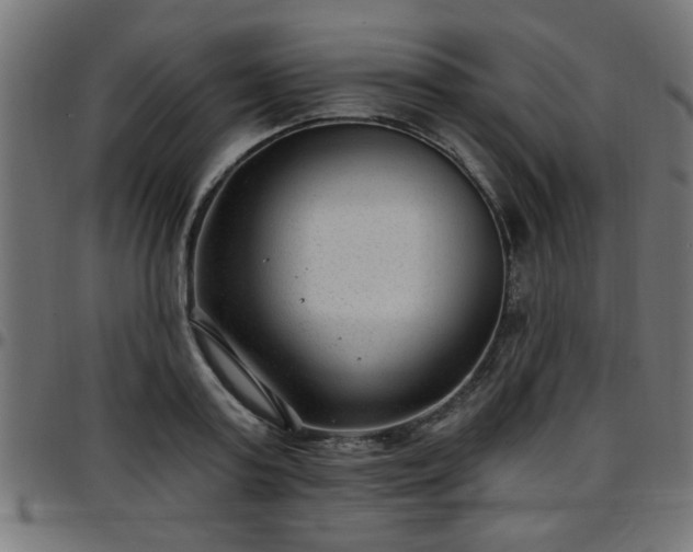 X0000097590795200803071319