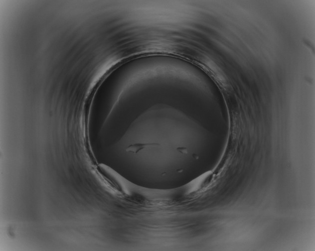 X0000097590796200803071319