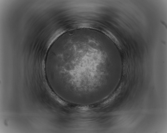 X0000097590798200803071319