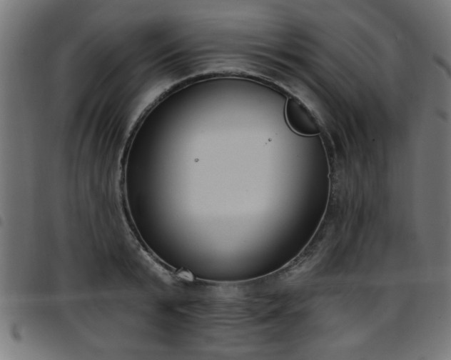 X0000097590799200803071319