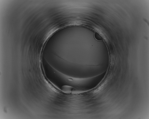 X0000097590802200803071319