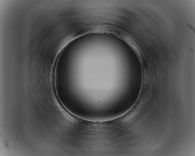 X0000097590803200803071319