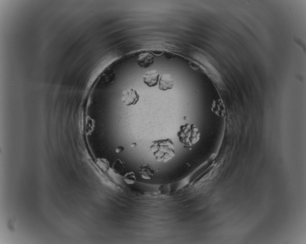 X0000097590804200803071319