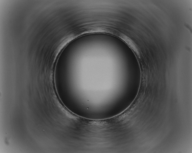 X0000097590805200803071319