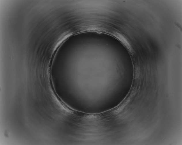 X0000097590806200803071319