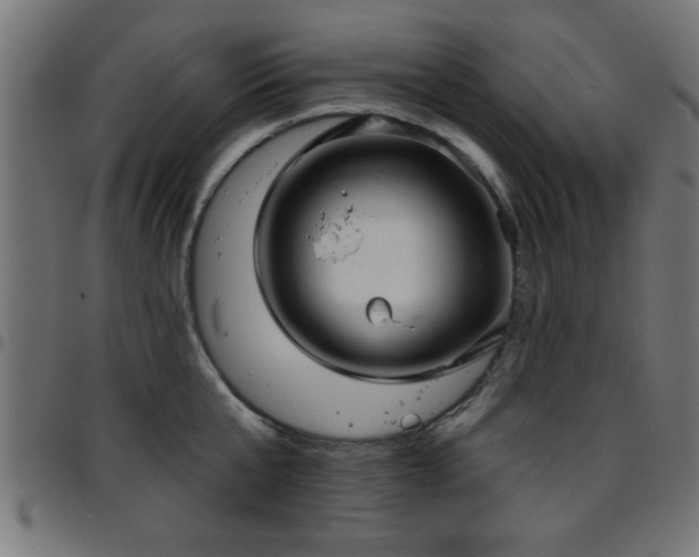 X0000097590807200803071319