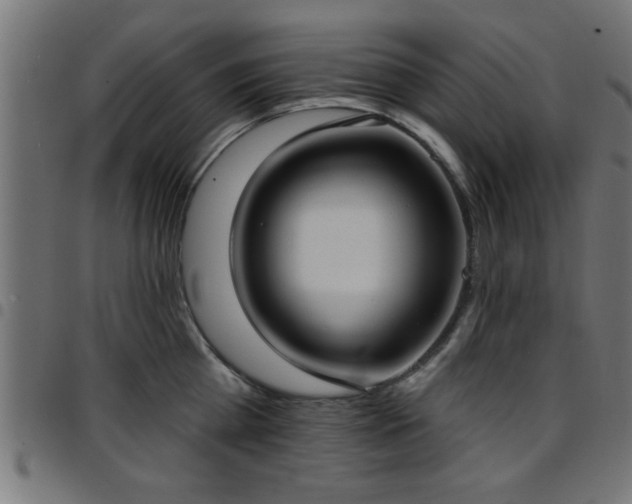 X0000097590809200803071319