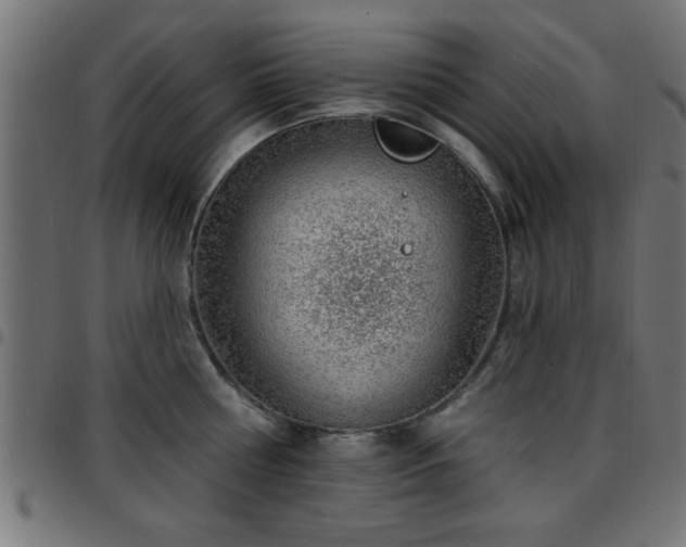 X0000097590810200803071319