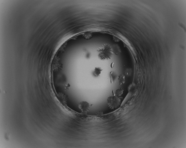 X0000097590811200803071319