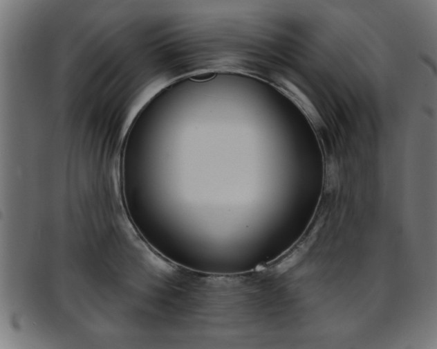 X0000097590812200803071319