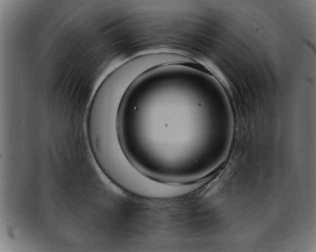 X0000097590813200803071319